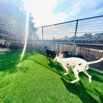 Ruiz 805 Builders - Artificial turf install. - General Contractors Near Me Ruiz 805 Builders - Artificial turf install. - General Contractors Near Me