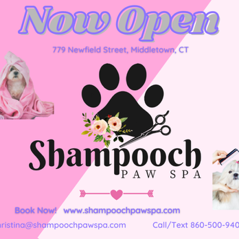 Shampooch Paw Spa - Pet Groomers Near Me - Middletown, Connecticut Shampooch Paw Spa - Pet Groomers Near Me - Middletown, Connecticut