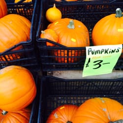 Whittens Naturally - Whittens for all your pumpkin Halloween needs...