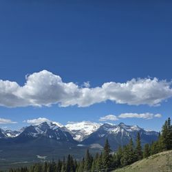 View of Lake Louise, way down between the mountains