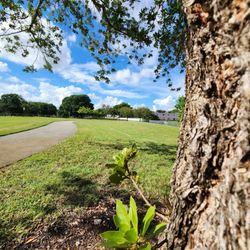 Kendall Green Park