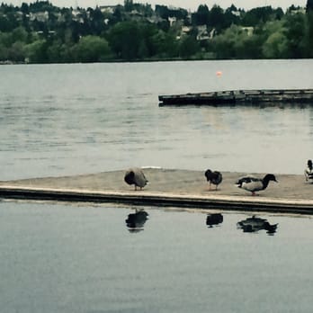 Green Lake Park - Parks Near Me - Seattle, Washington Green Lake Park - Parks Near Me - Seattle, Washington
