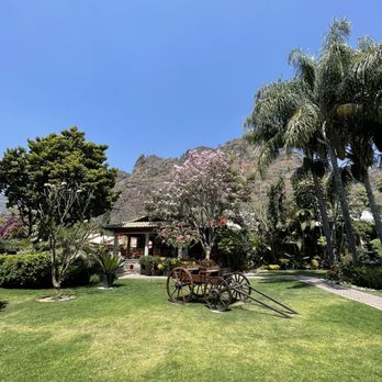 La Buena Vibra - International Near Me - Tepoztlán, MOR La Buena Vibra - International Near Me - Tepoztlán, MOR