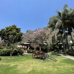 La Buena Vibra