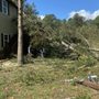 Photo of Barrett Tree Removal and Landscaping