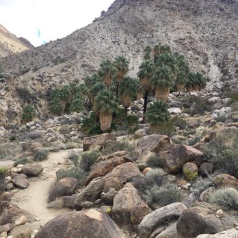 Fortynine Palms Oasis - Hiking Near Me - Twentynine Palms, California