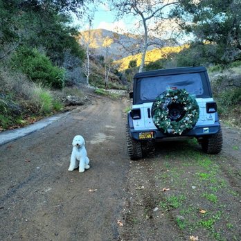 Dogtown K9 Care - Bailey loves her vacations at Dogtown K9 care!!! - Pet Training Near Me Dogtown K9 Care - Bailey loves her vacations at Dogtown K9 care!!! - Pet Training Near Me