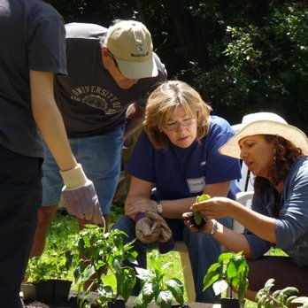 Bufco - Learn how to #GrowYourOwn food at home. We can help. #vegetablegarden - Gardeners Near Me - Etobicoke, Ontario