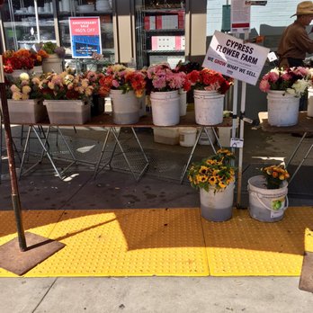 Cypress Flower Farm - Flower Stand at Ferry Plaza Farmers Market - Nurseries & Gardening Near Me - Moss Beach, California Cypress Flower Farm - Flower Stand at Ferry Plaza Farmers Market - Nurseries & Gardening Near Me - Moss Beach, California