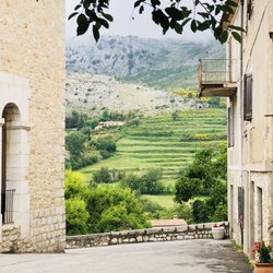 Provence Trips