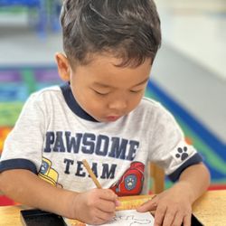 Stockton Montessori School - We give students many opportunities to practice skills that prepare them for writing in ways that feel fun--like pin punching dinosaurs.