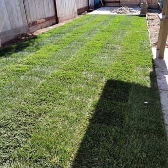 Maldonado Landscaping - Laid down sod and worked on sprinkler system. - Landscaping Near Me