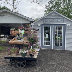 Strobel Farms