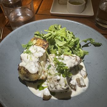 Ave - Grouper - Mediterranean Near Me - Tampa, Florida