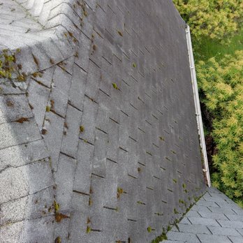 Select Exterior Solutions - Window Washing Near Me Select Exterior Solutions - Window Washing Near Me