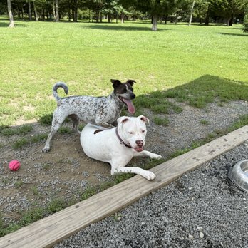 Lewes Unleashed - Dog Parks Near Me - Lewes, Delaware Lewes Unleashed - Dog Parks Near Me - Lewes, Delaware