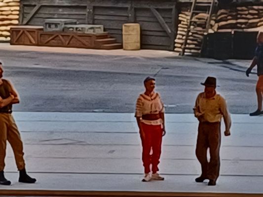 Indiana Jones™ Epic Stunt Spectacular! by null