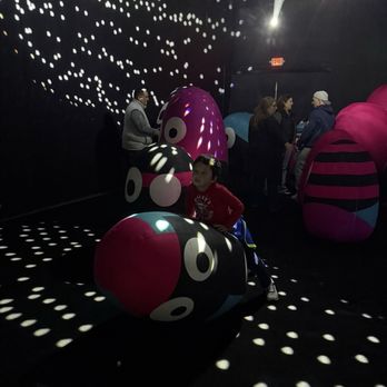 Balloon Museum - Art Museums Near Me - Chicago, Illinois