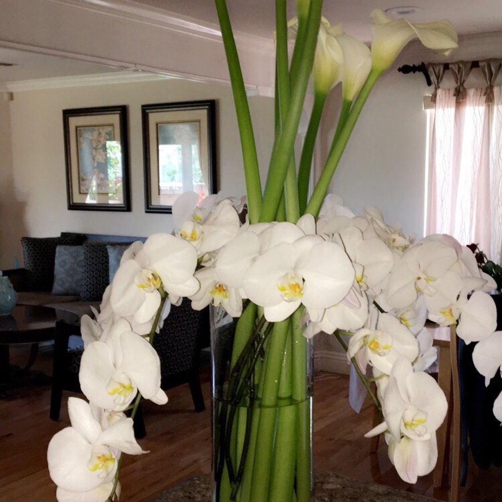 Little Bee Flowers - Florists Near Me - Glendale, California