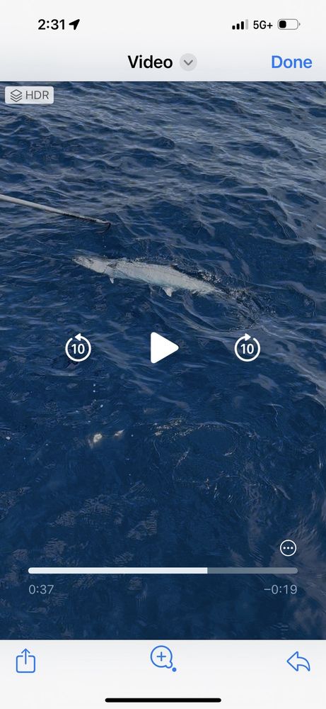 Mystic Rose Fishing Charters Logo