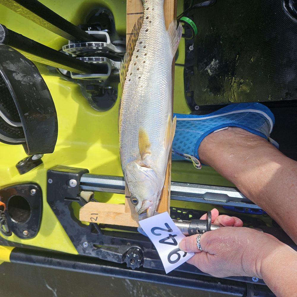 Chokoloskee RV Park - Fishing is awesome here - Campgrounds Near Me - Chokoloskee, Florida Chokoloskee RV Park - Fishing is awesome here - Campgrounds Near Me - Chokoloskee, Florida