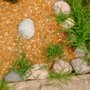 Photo of Go Green Lawn and Landscaping