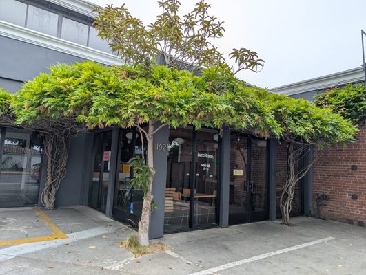 Evergreen Cafe by null