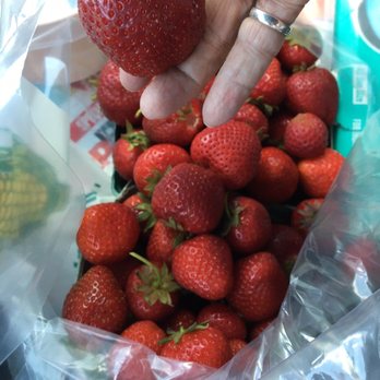 Chase Farms - Fresh picked berries. 3 varieties that I see in this bag! - Farmers Market Near Me - Fairport, New York