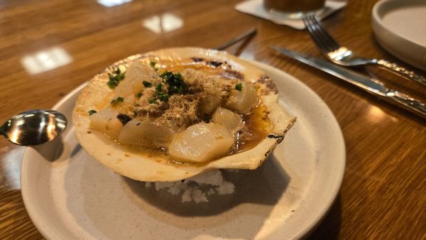 Cozobi Fonda Fina by null