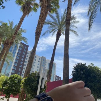 Flamingo Las Vegas - Hotels Near Me - Las Vegas, Nevada