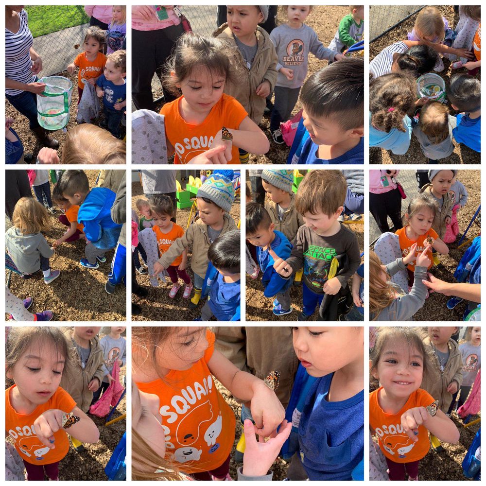 Twin Oaks Child Development Center - childcare center in Beaverton, OR