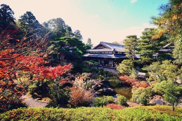 Yoshikien Garden by null