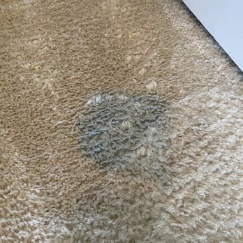 Barefoot Resort and Golf - Looks like laundry detergent. Even the carpet cleaning people couldn't get it up - Golf Near Me - North Myrtle Beach, South Carolina