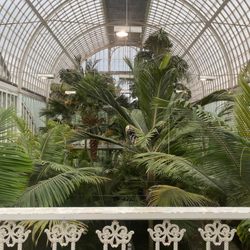 Trädgårdsföreningen - palmhuset