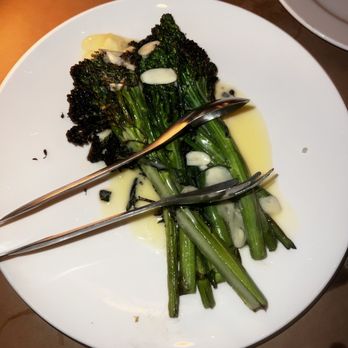 Hasalon Miami - broccolini - Mediterranean Near Me - Miami, Florida Hasalon Miami - broccolini - Mediterranean Near Me - Miami, Florida