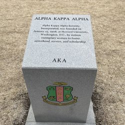 The University of Georgia - AKA Plot