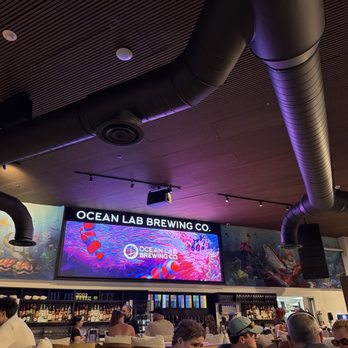 Ocean Lab Brewing - Breweries Near Me - San Juan, Puerto Rico