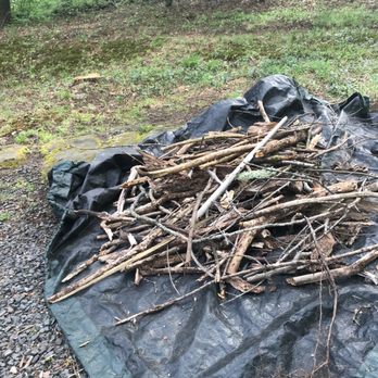 Pulla Tree Service - The START of MY stick pile AFTER they were DONE - Tree Services Near Me - Danbury, Connecticut