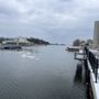 Photo of Port Credit Lighthouse