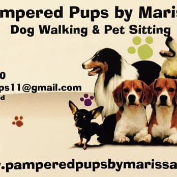 pampered pups dog sitting