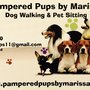 Photo of Pampered Pups By Marissa