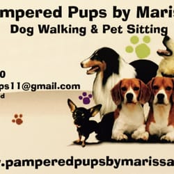 Pampered Pups By Marissa