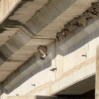 Trinity Trails - Swallows - Parks Near Me - Fort Worth, Texas