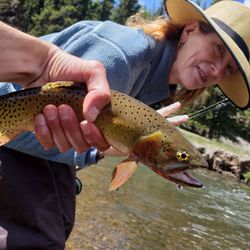 Dos Amigos Fly Shop and Tackle