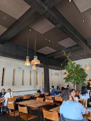 Aziza by null Aziza by null