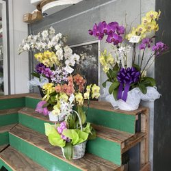 Kamala Flowers - Additional orchid options $75, $85, $90