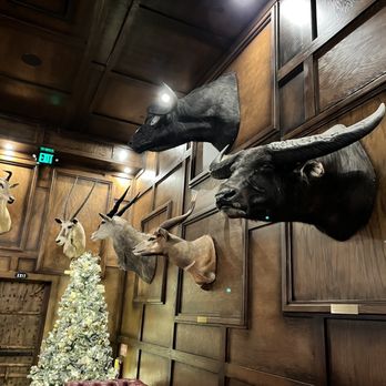 Trophy Room - Amazing taxidermy - Venues & Event Spaces Near Me - Los Angeles, California Trophy Room - Amazing taxidermy - Venues & Event Spaces Near Me - Los Angeles, California