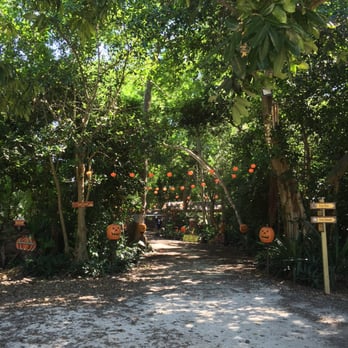 Pinto's Farm - Halloween themed entrance - Venues & Event Spaces Near Me - Miami, Florida