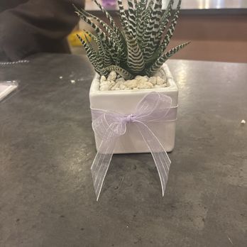 WildFlora - Super cute succulent - Florists Near Me - Studio City, California WildFlora - Super cute succulent - Florists Near Me - Studio City, California