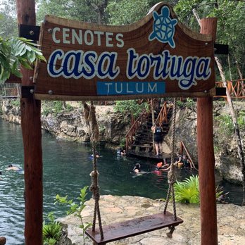 Cenote Tortuga - Local Flavor Near Me - Quintana Roo, ROO Cenote Tortuga - Local Flavor Near Me - Quintana Roo, ROO